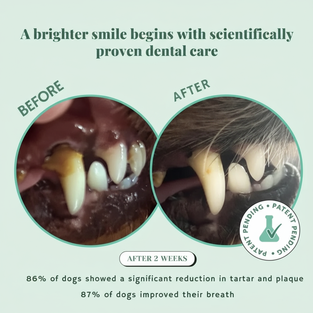 Pawify™ Premium Dental Powder