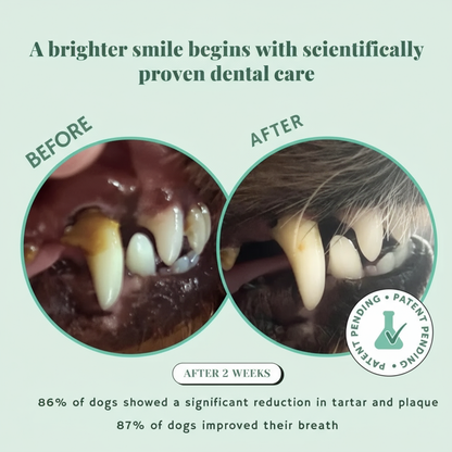 Pawify™ Premium Dental Powder