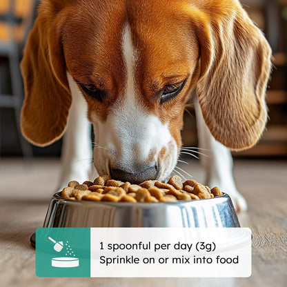 Pawify™ Premium Dental Powder